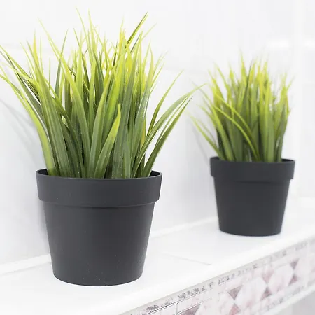 Lägenhet K&m Uniwersytecka Wrocław